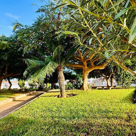 Sunny Summer Place Apartman