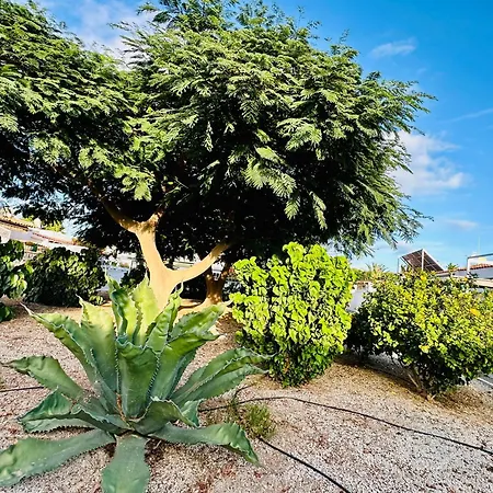 Sunny Summer Place Apartment