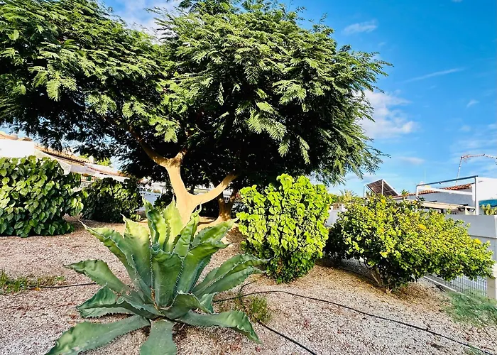 Sunny Summer Place Apartamento